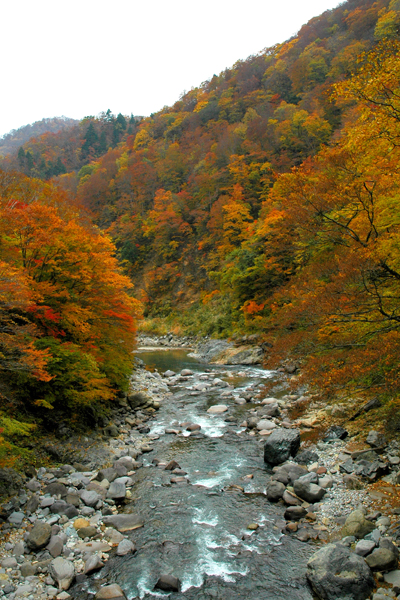 Podzim