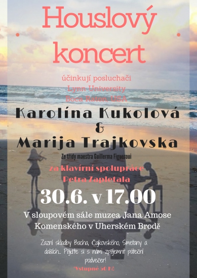 Houslový koncert